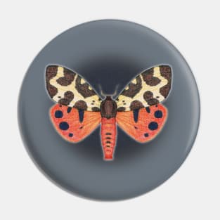 Garden tiger moth Pin