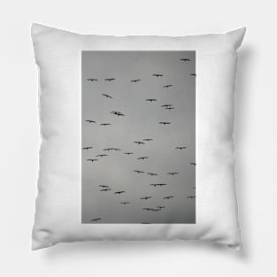 Birds in Flight on a Cloudy Day Pillow