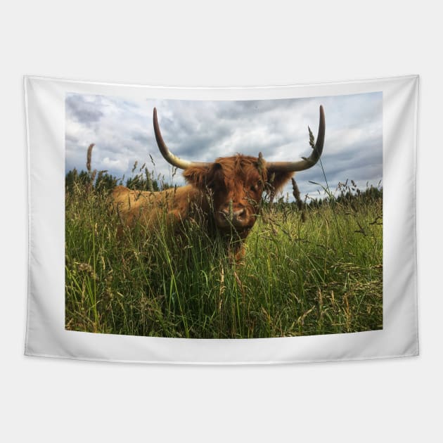 Scottish Highland Cattle Cow 2040 Tapestry by SaarelaHighland