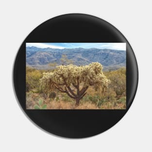 Chain-fruit Cholla Pin