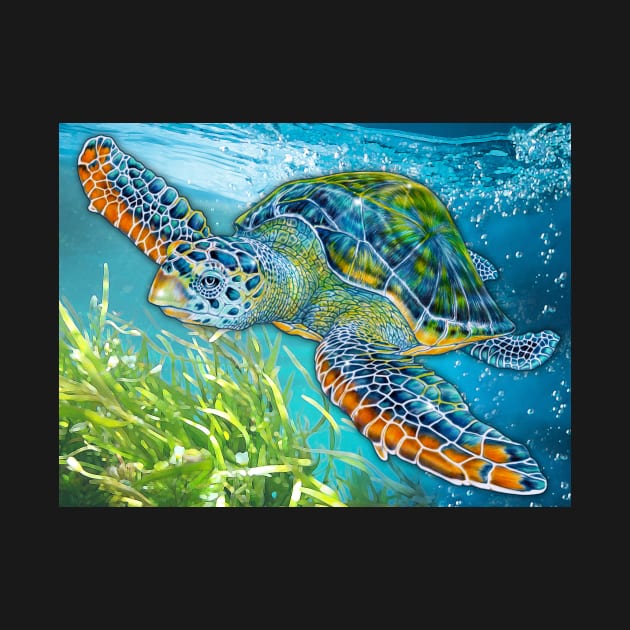 Sea Turtle by Tim Jeffs Art