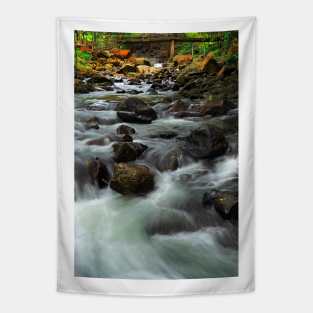 River Stream Tapestry