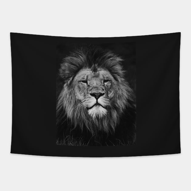 Lion | Unique Beautiful Travelling Home Decor | Phone Cases Stickers Wall Prints | Scottish Travel Photographer  | ZOE DARGUE PHOTOGRAPHY | Glasgow Travel Photographer Tapestry by zohams