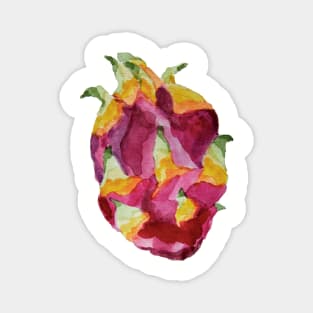 Dragon fruit Pitaya Magnet