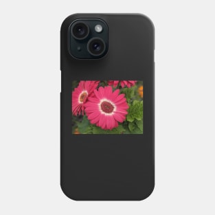 Pink Daisy Photographic Image Phone Case