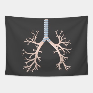 Bronchus Lower respiratory tract Tapestry