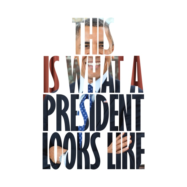 Obama - This is what a President looks like by DWFinn