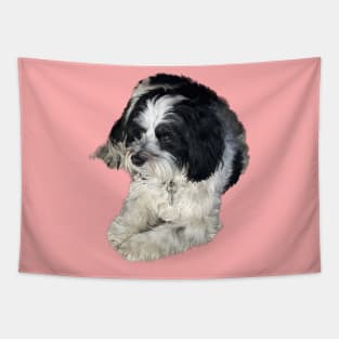 Havanese Toy Dog "Lulu" Tapestry