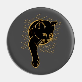 Cat From The Hole Pin