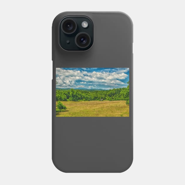 Virginia Summer Meadow Phone Case by Gestalt Imagery