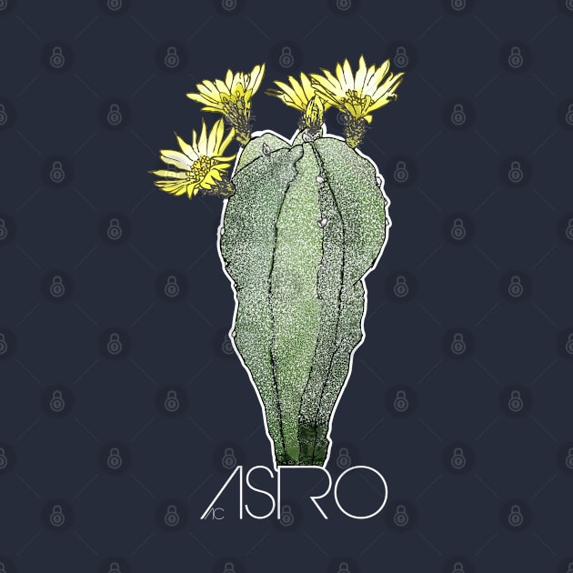 ASTRO By AgaCactus by AgaCactus