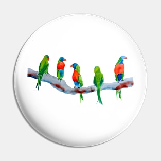 Rainbow Parakeets Pin