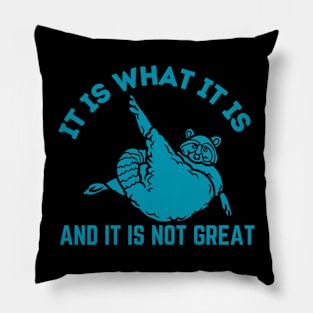 It Is What It Is And It Is Not Great Pillow