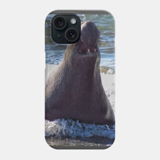 Elephant seal roaring Phone Case