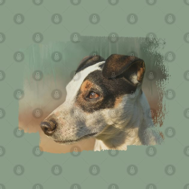 Handsome Jack Russell Terrier Portrait by Elisabeth Lucas