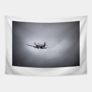 Supermarine Spitfire Mk IXT SM520 Tapestry