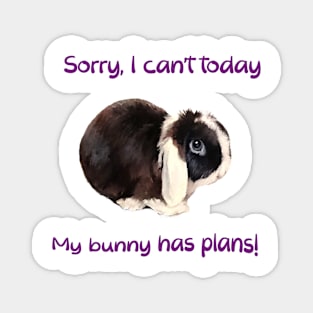 Sorry, I can't today... my bunny has plans! Magnet