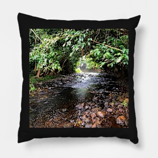 Quiet Mountain Stream Pillow