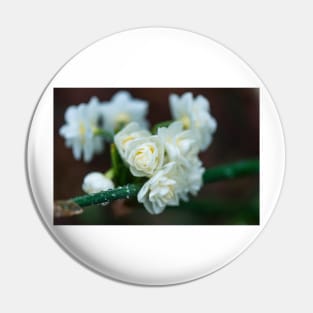 White Mountain Flowers in the Winter Rain Pin