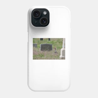 A Visitor Phone Case