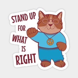 Stand Up for What is Right Magnet