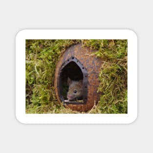 George the mouse in a log pile house - at the door Magnet