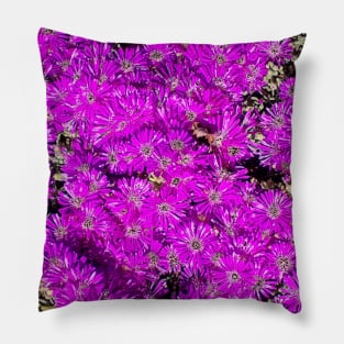 Pink Flower Bed Photography My Pillow