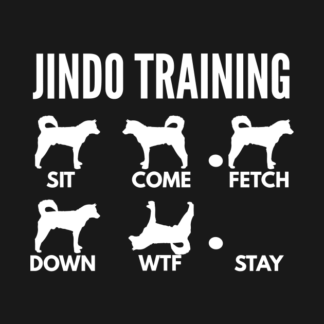 Jindo Training Korean Jindo Dog Tricks by DoggyStyles