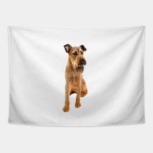 Irish Terrier Beauty Tapestry