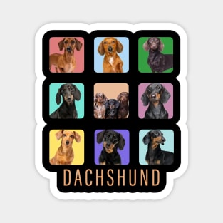 Dachshund Magnet