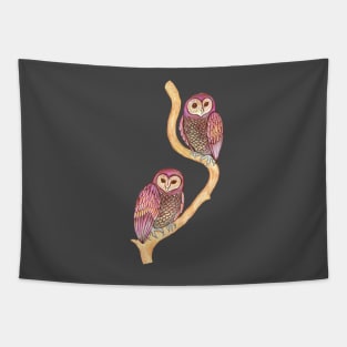 Two owls Tapestry