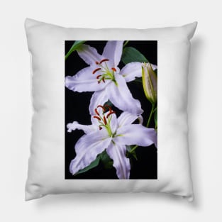 Two Beautiful White Lillies Pillow