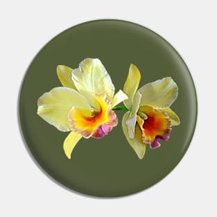 Pale Yellow Cattleya Orchids Pin