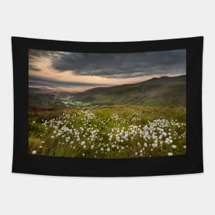 Glyn Tarell from Craig Cerrig-gleisiad with Pen y Fan and Corn Du, Brecon Beacons National Park, Wales Tapestry