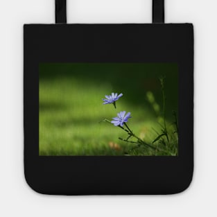 Chicory Tote