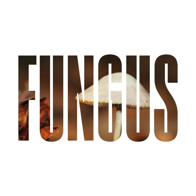 Fungus Text by bluerockproducts