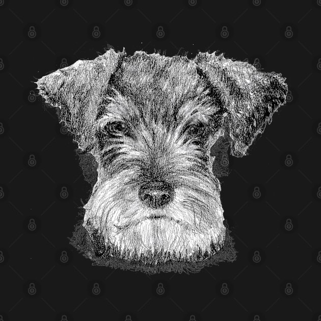 Miniature Schnauzer dog by dizzycat-biz