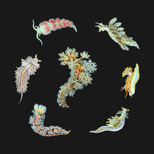 Nudibranch Set Ernst Haeckel Sea Foam Colors by aeolia