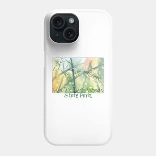 Wolfe's Neck Woods State Park, Maine Phone Case