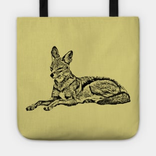 Jackal a wilddog in Kenya / Africa Tote