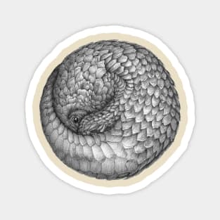 Pangolin Ball Magnet