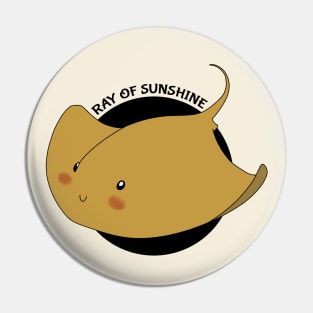 Ray of Sunshine Pin