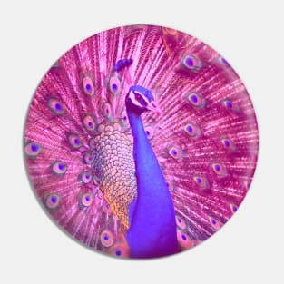 Colorful Peacock Design Pin