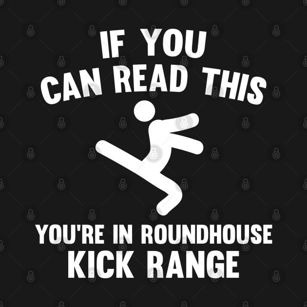 Roundhouse Kick Range by AmazingVision