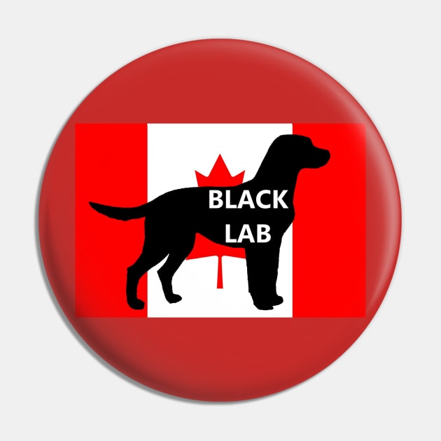 LR black name silhouette on flag Pin by Wanderingangel