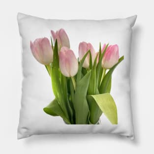 Pale pink tulips Pillow