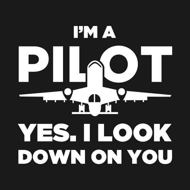 Funny Airplane Pilot Quote by MeatMan