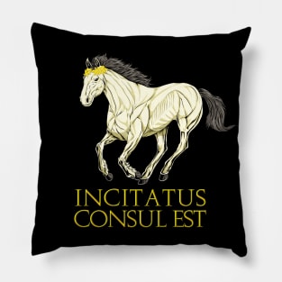 Incitatus Consul Est - Incitatus Pillow