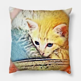 Orange Cat Pillow