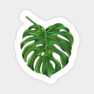 Monstera Leaf Magnet